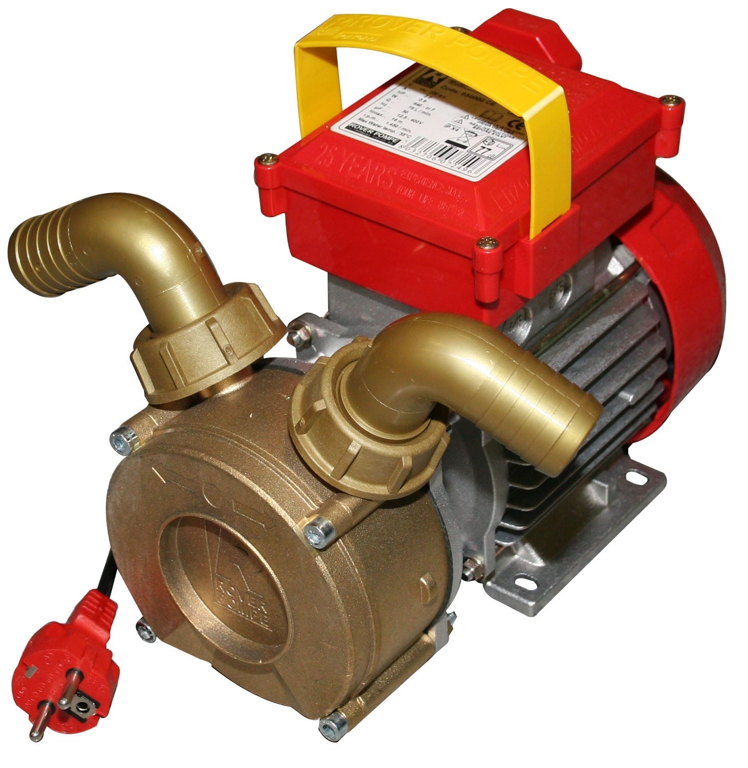 Pompa elettrica da travaso rotazione reversibile 650 W raccordi 30 mm - Rover