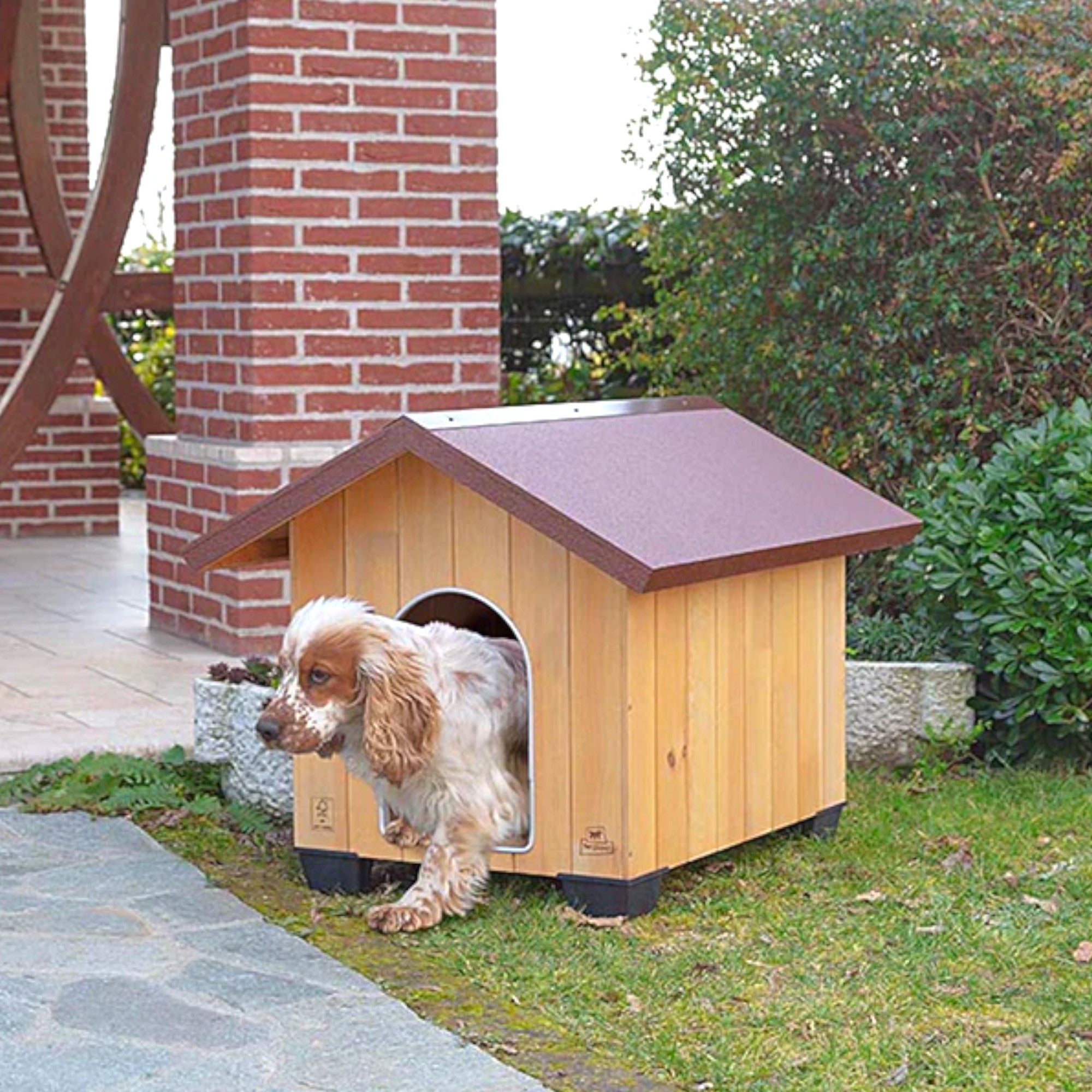 Cuccia rialzata in legno di pino per cani di taglia media con tetto spiovente impermeabile e griglia di areazione