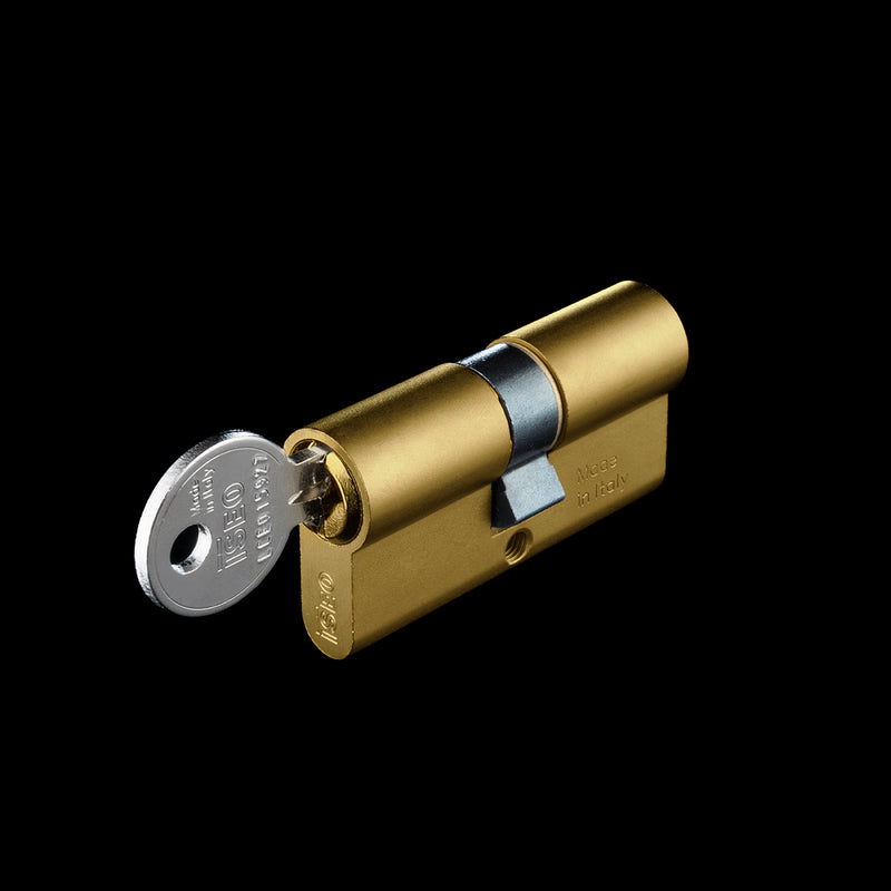 Cilindro ovale in ottone a 5 perni per serrature a infilare centrale e decentrato ISEO Art. 8209