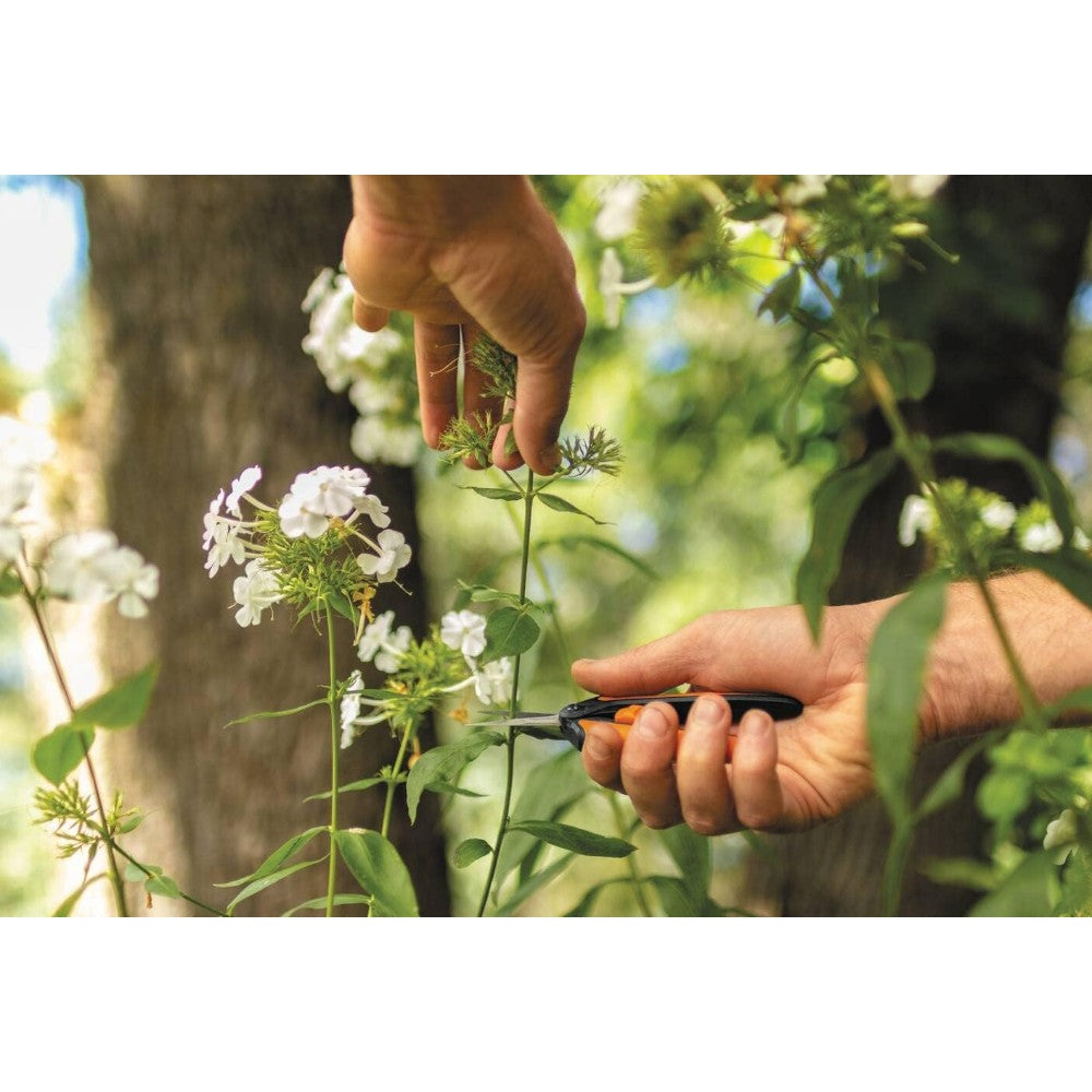 Forbice da pota per fiori super leggera con micro punte in acciaio inossidabili SP13