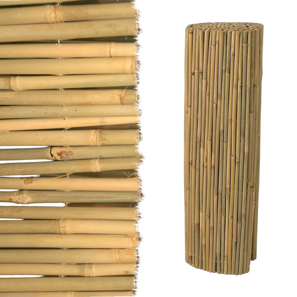 Arella in cannette frangivista di bamboo pulita Master 15mm Garden Deluxe Collection