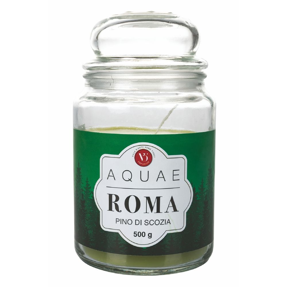 Candela in cera giara in vetro pino di scozia 500 gr Aquae Roma