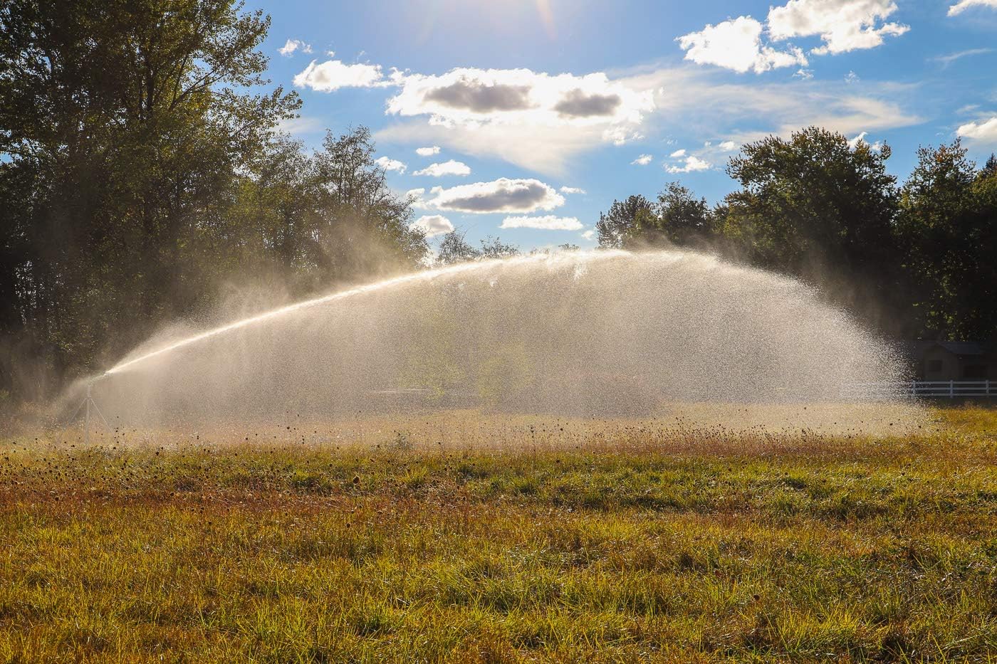 Irrigatore a cannoncino professionale per vaste aree agricole Skipper