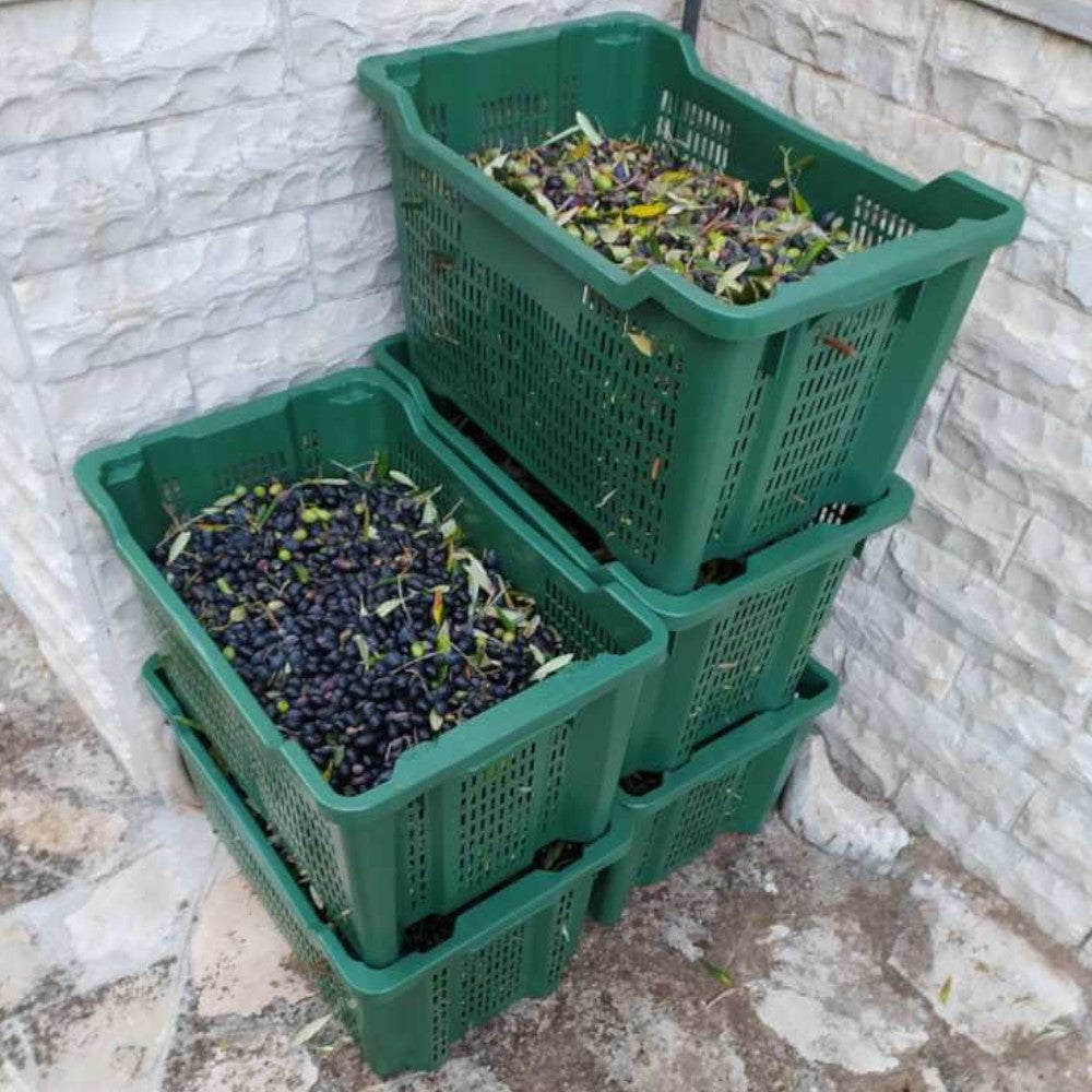 Cassetta agricola aperta per raccolta alimenti in polietilene 40 lt 52x36x31 cm