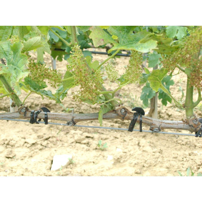 Legacci elastici in EDPM per tutti i tipi di piante confezione 500 gr Bandofix