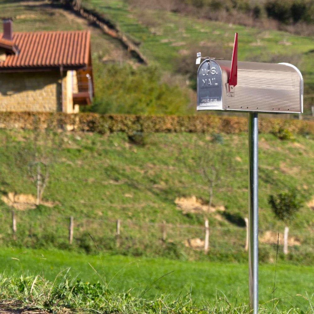 Cassetta postale in acciaio zincato stile americano 17x48 cm senza palo Topolino