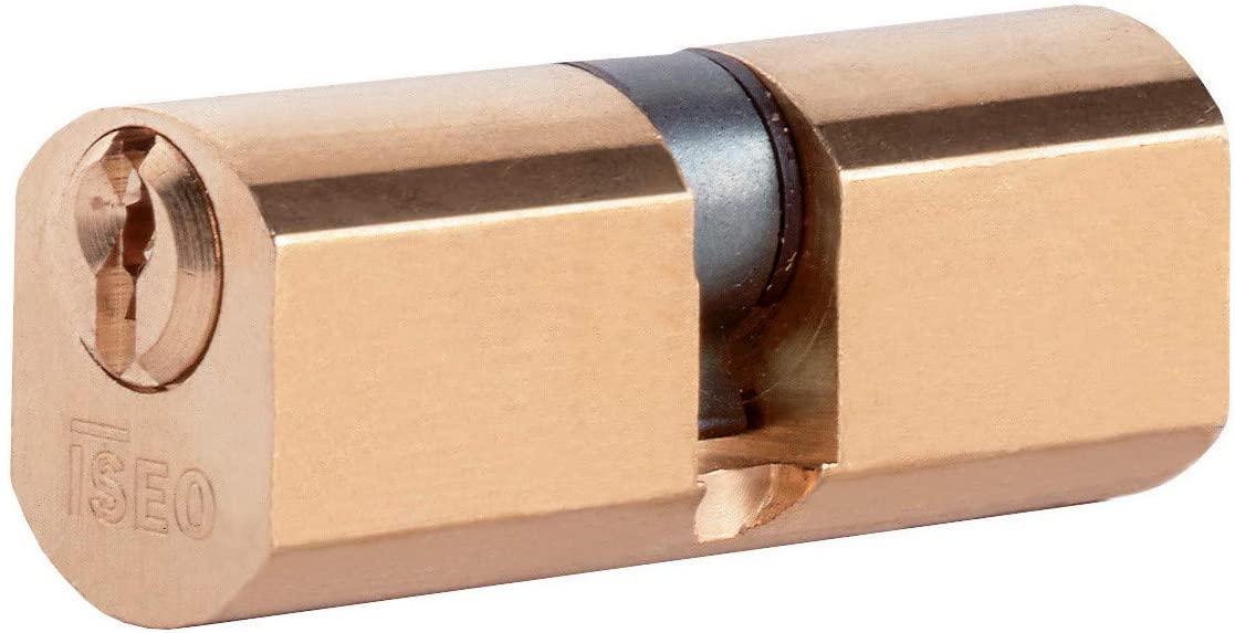 Cilindro sfaccettato doppio profilo 56mm centrale art 842028287 ISEO