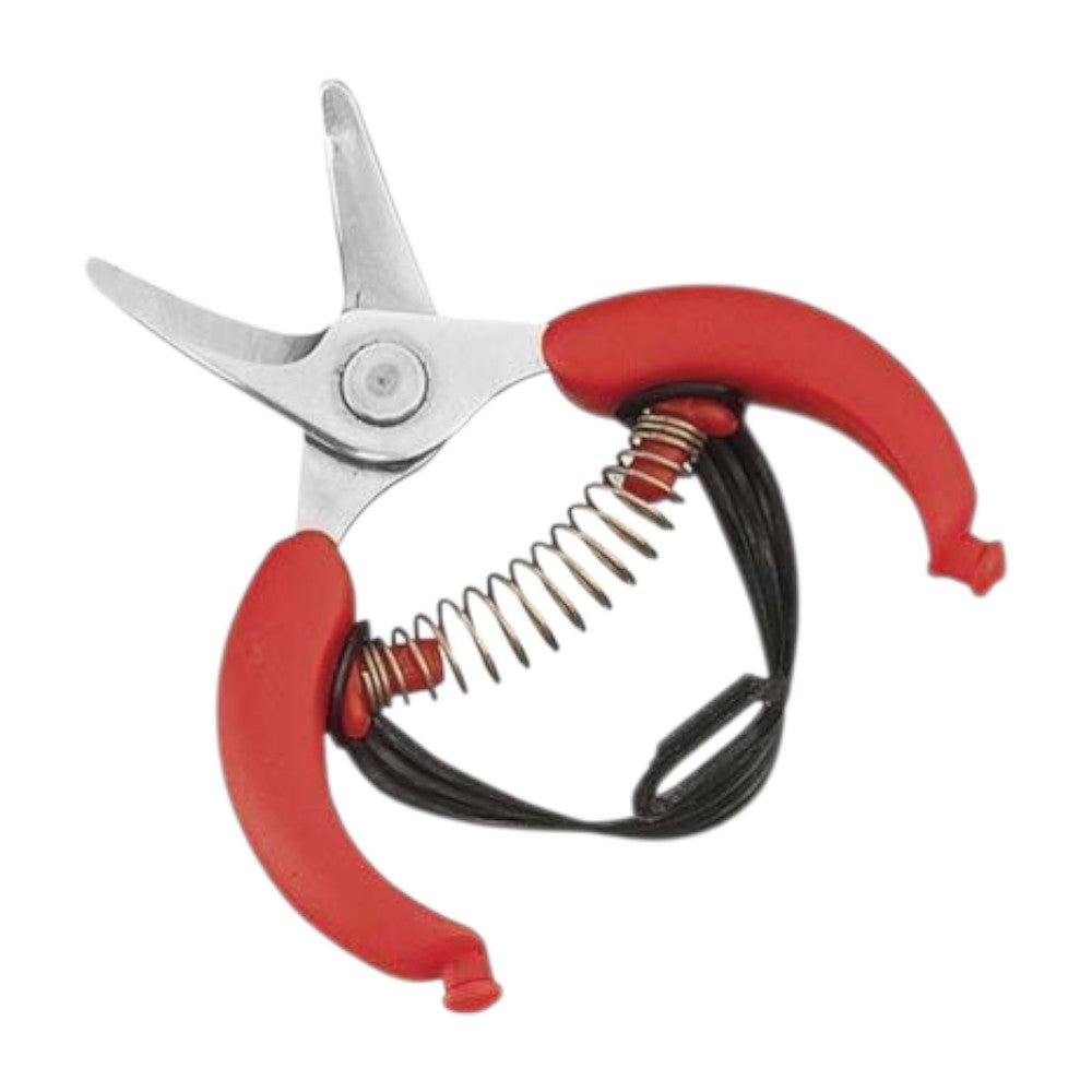 Forbici per agrumi con lama in acciaio inox 10,5 cm
