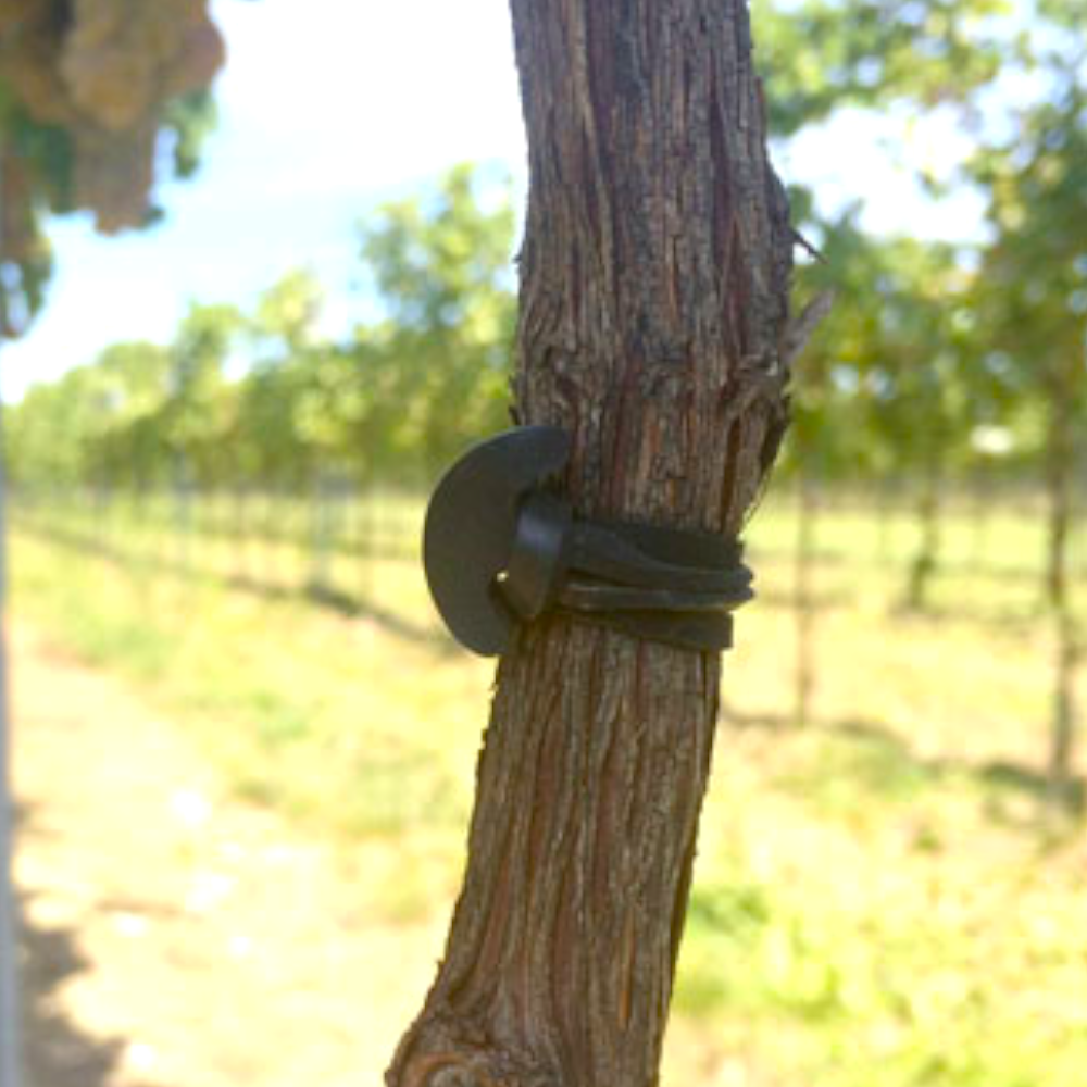 Legacci elastici in EDPM per tutti i tipi di piante confezione 500 gr Bandofix