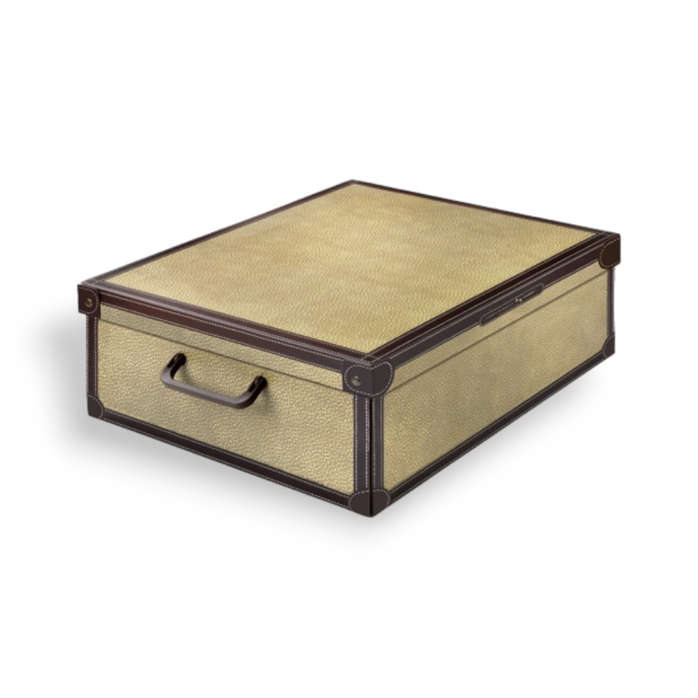Scatola guardaroba sottoletto per cambio stagione 60x50x17 cm