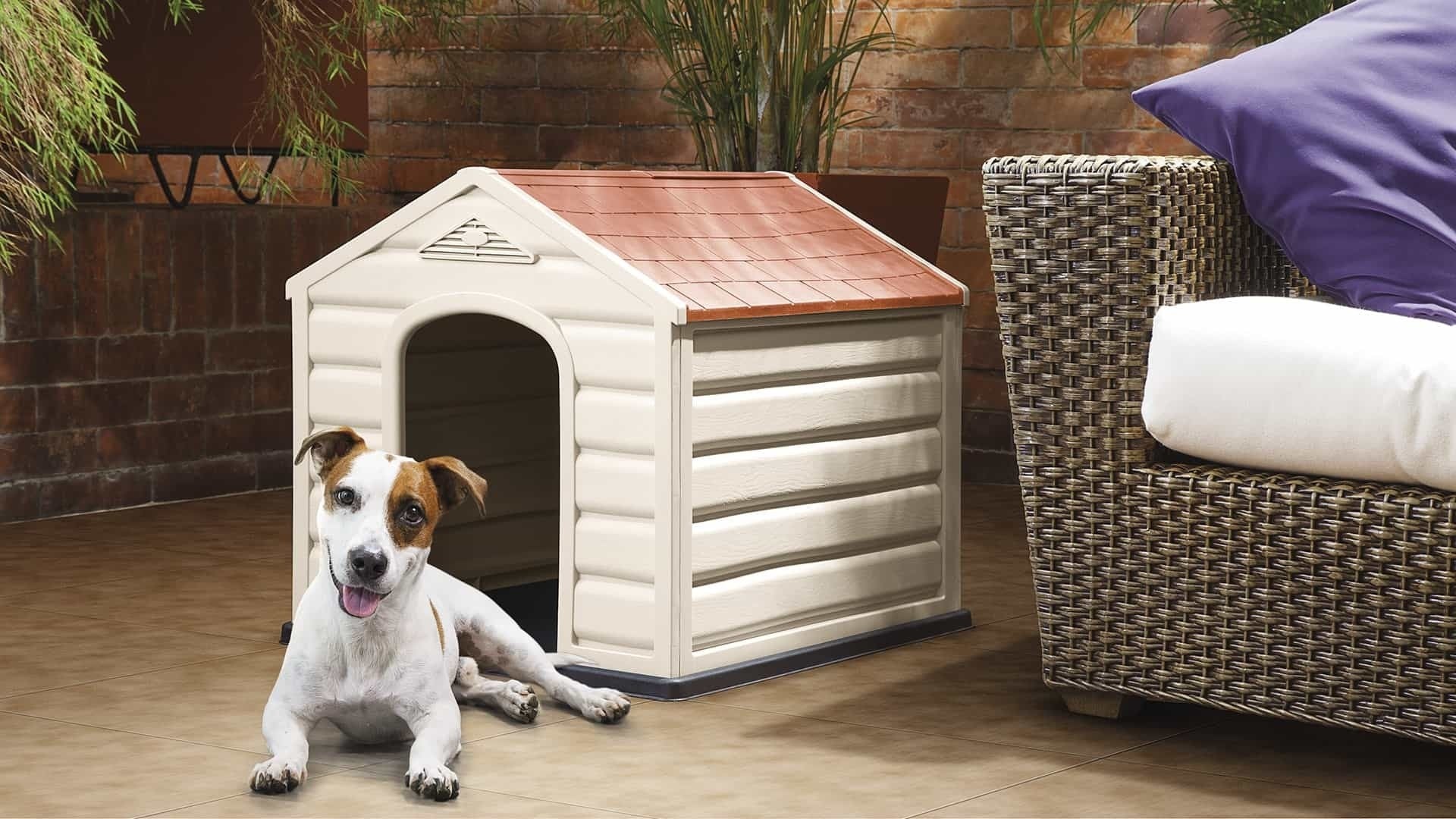 Cuccia per cani taglia media in resina 60x68x58 cm Puppy