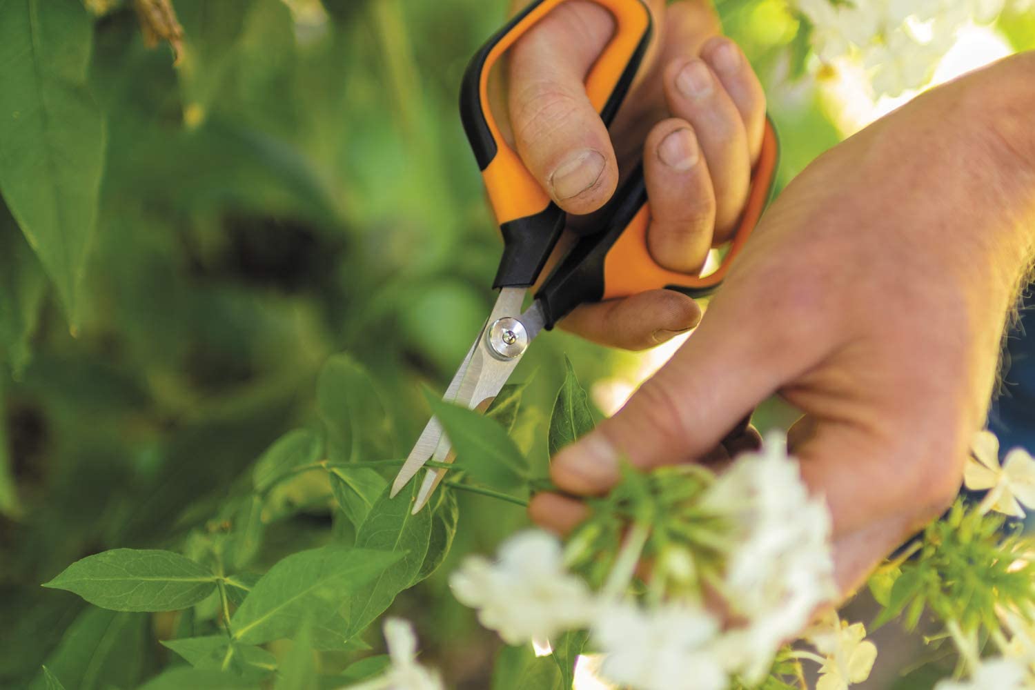 Forbice da pota Solid snip SP15 FISKARS