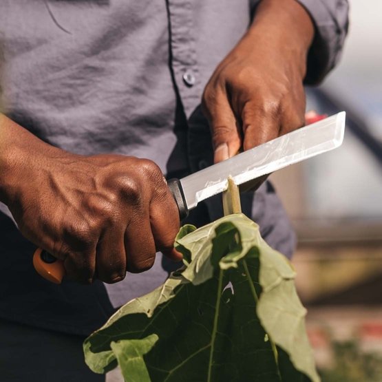 Coltello raccoglifrutta 28cm. Fiskars