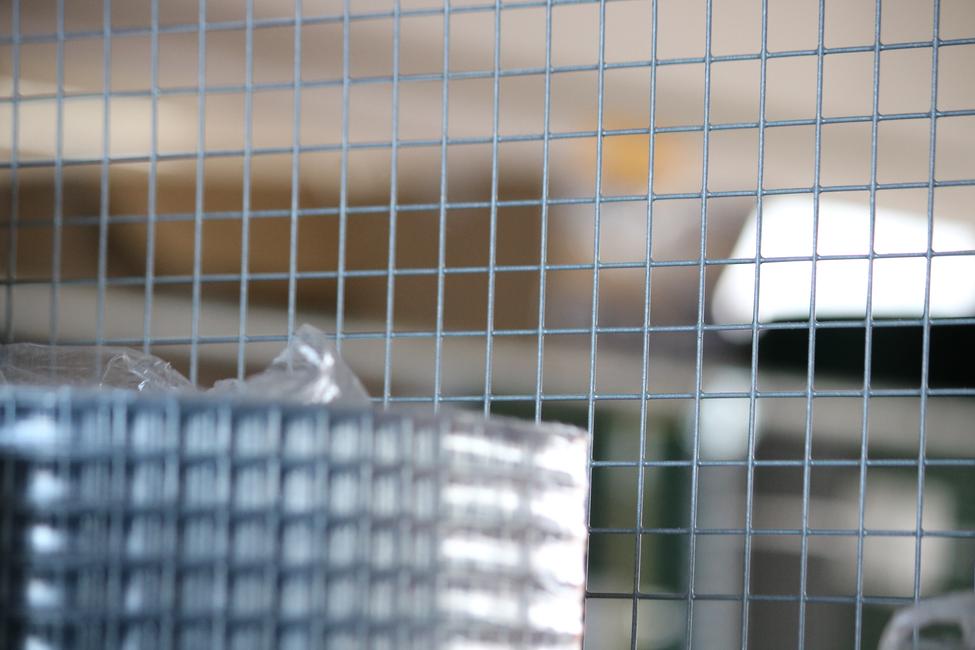 Rete elettrosaldata per recinzione con triplice strato di zinco nella saldatura maglia 6x6 Rotolo 25 mt Alta 100 cm