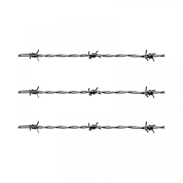 Filo spinato zincato Rotolo 100 mt Diametro filo 1,7 mm x 2 fili