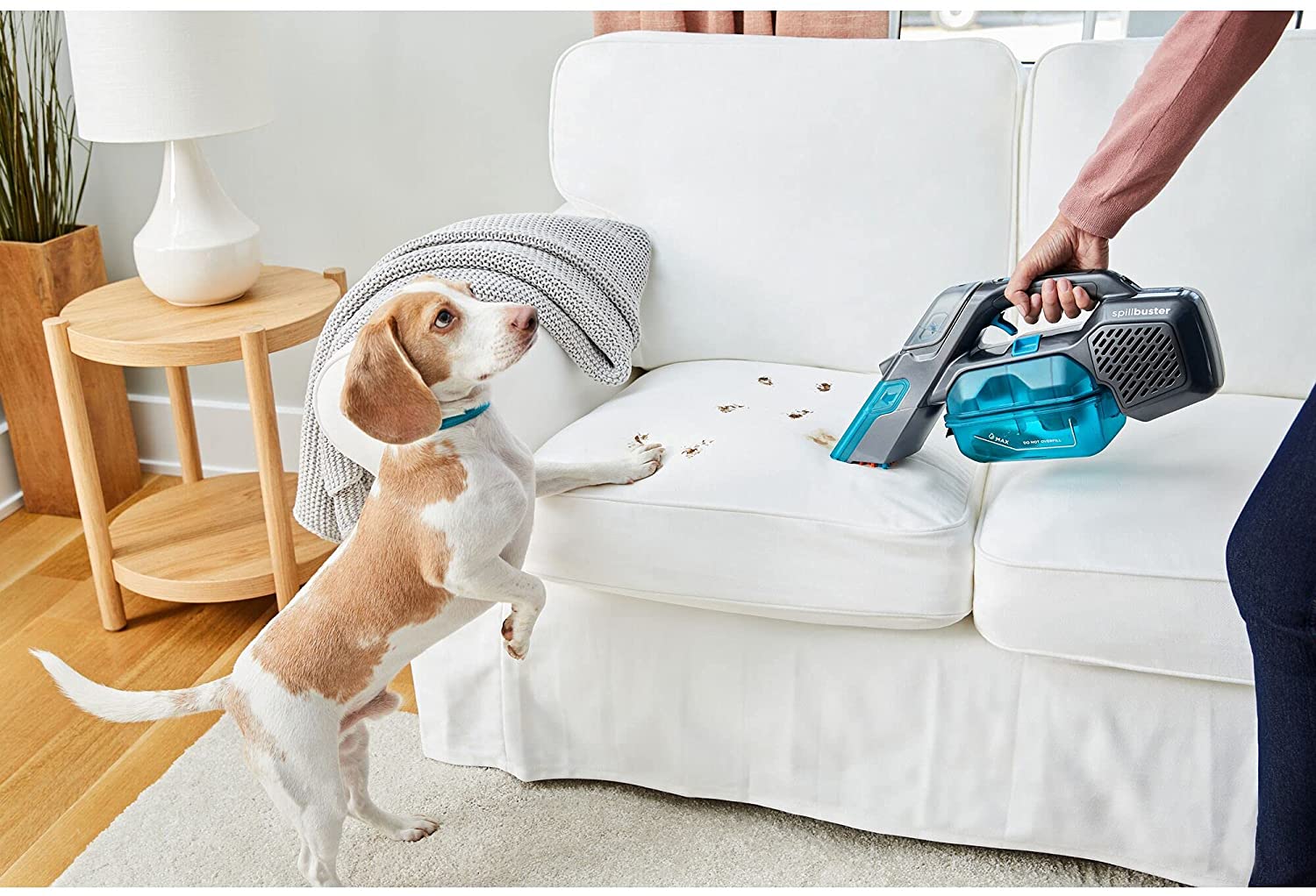 Aspiratutto aspiratore smacchiatore Black Decker