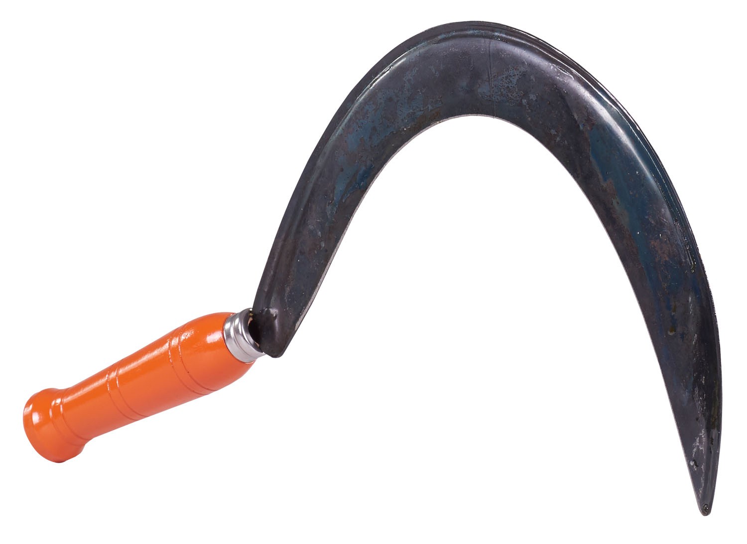 Falciole Brixo strette con costa