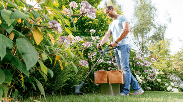 Tagliabordi elettrico Bosch Easy Grass CUT 23