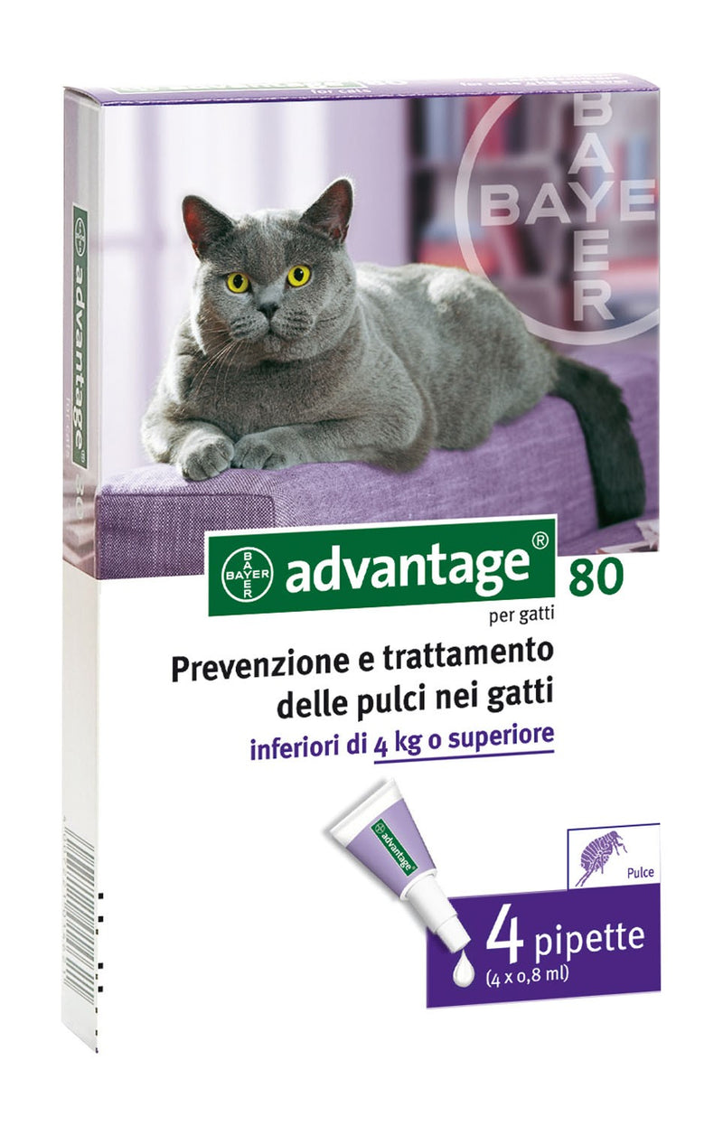 Advantage Spot On 80 prevenzione pulci e zecche per gatti di 4 kg 4 pipette