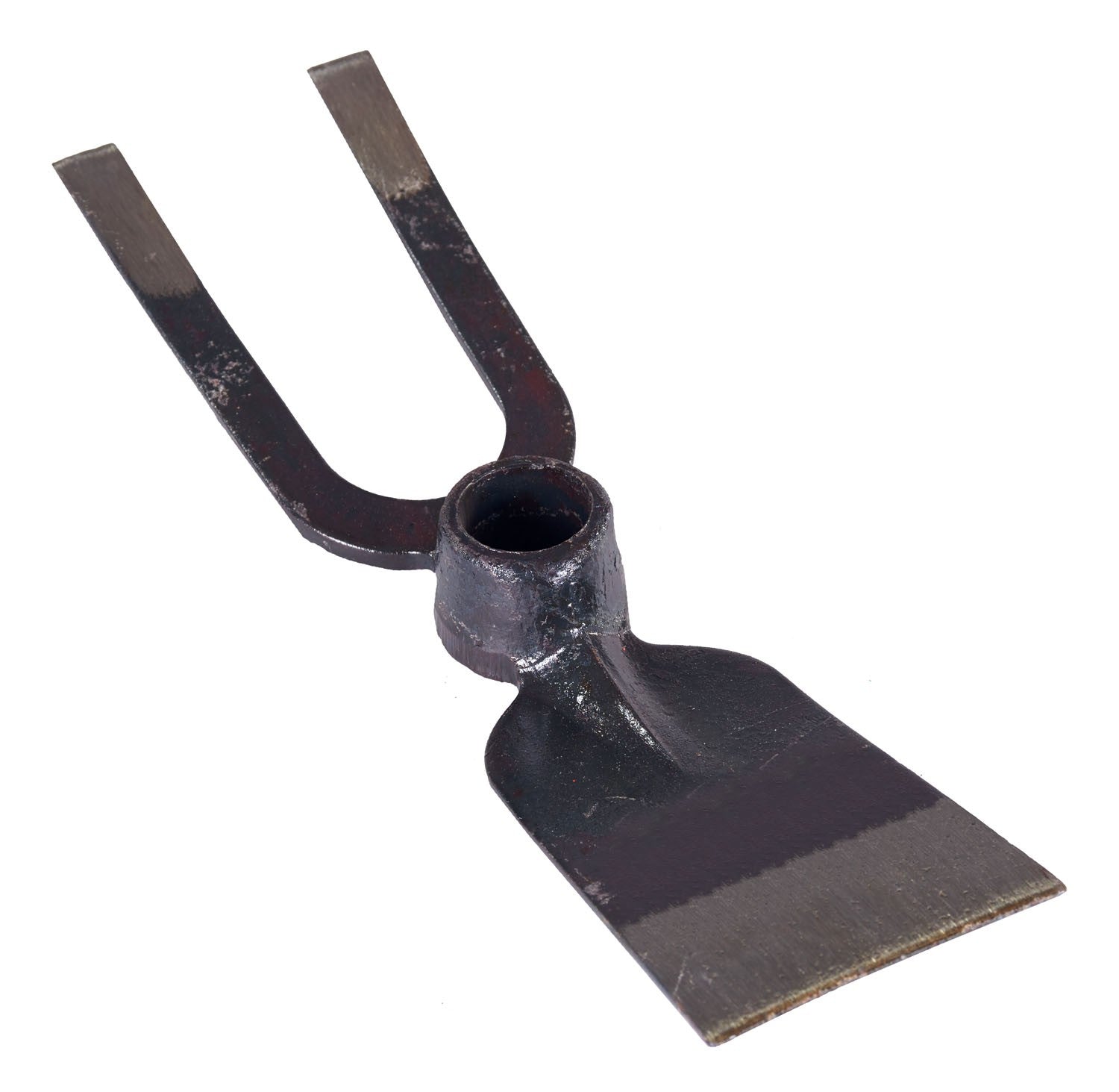 Zappini Brixo bidenti quadro