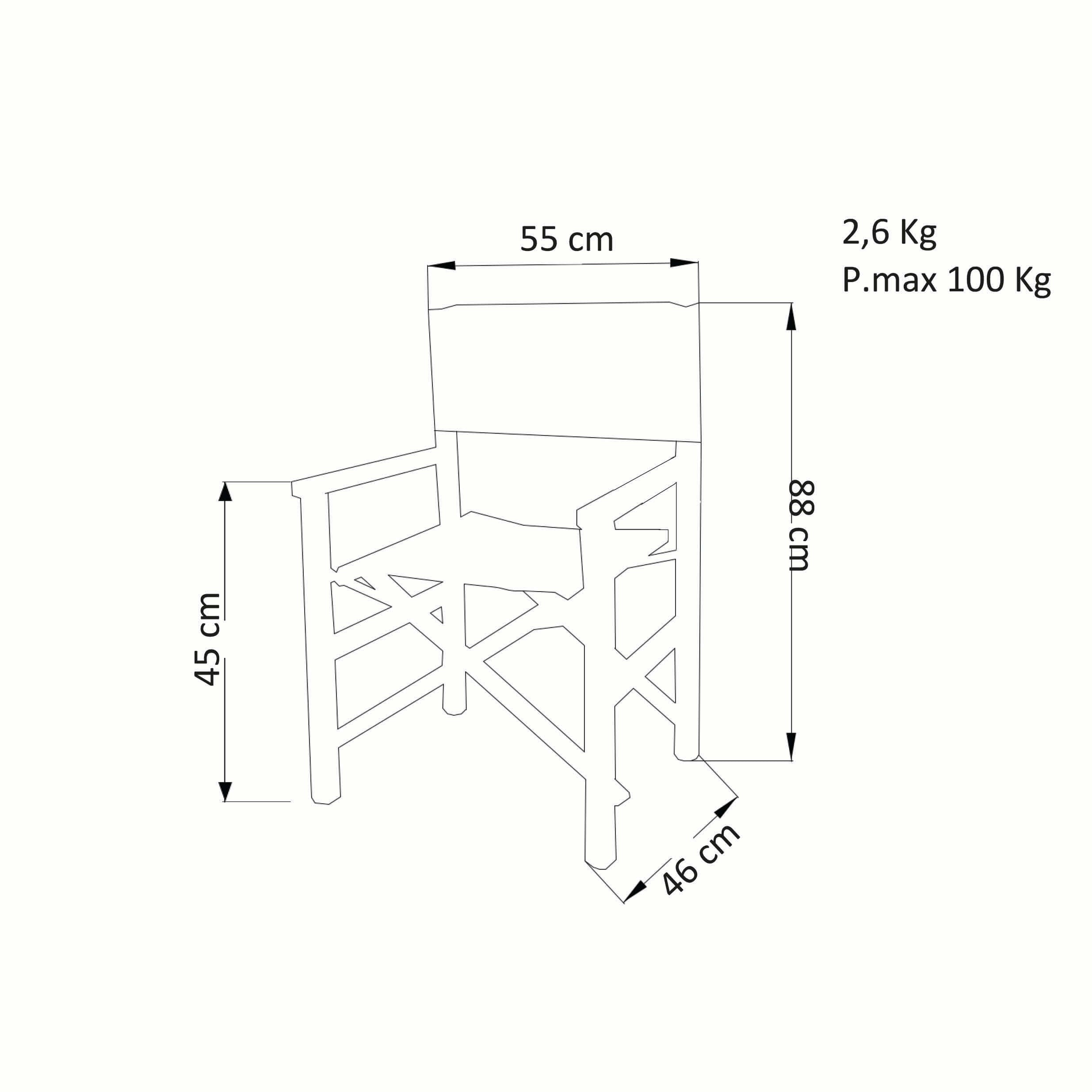Sedia poltrona regista chiudibile da spiaggia in alluminio Text
