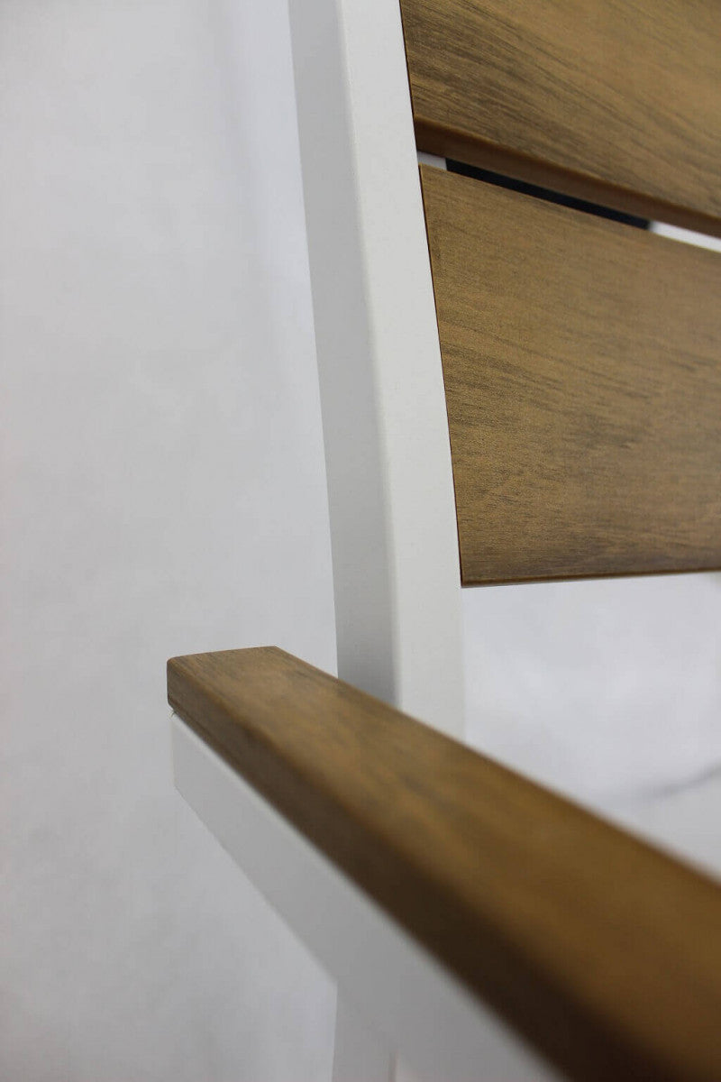 Poltrona sedia in polywood e alluminio ANTARES